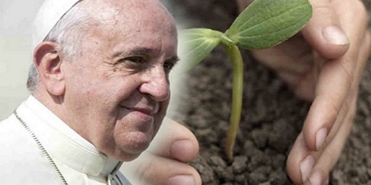 I comandamenti verdi di Papa Bergoglio
