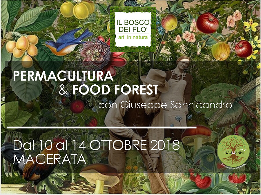 Corso di Permacultura & Food Forest al Bosco dei Flò
